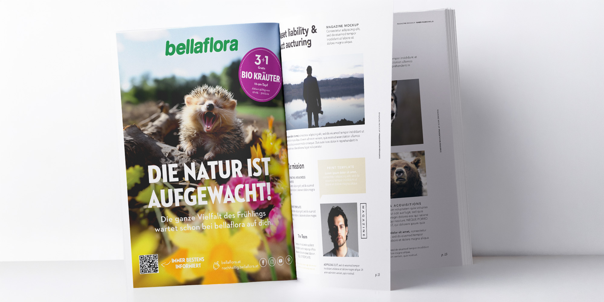 Eine Print-Anzeige mit einem gähnenden Igel.