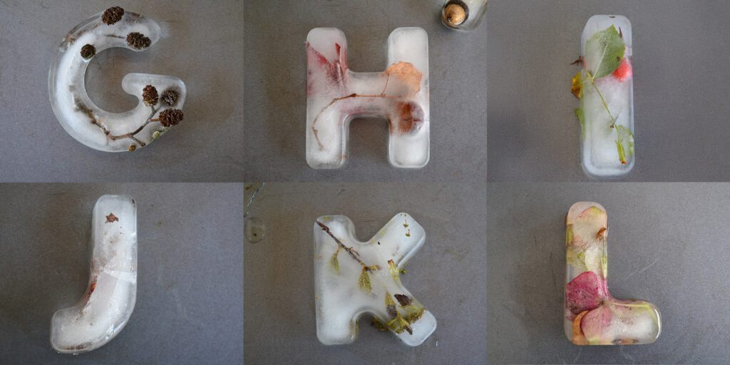 Die Buchstaben G bis L aus gefrorenem Wasser, mit im Eis eingeschlossenen Blüten, Blättern und Fruchtständen.