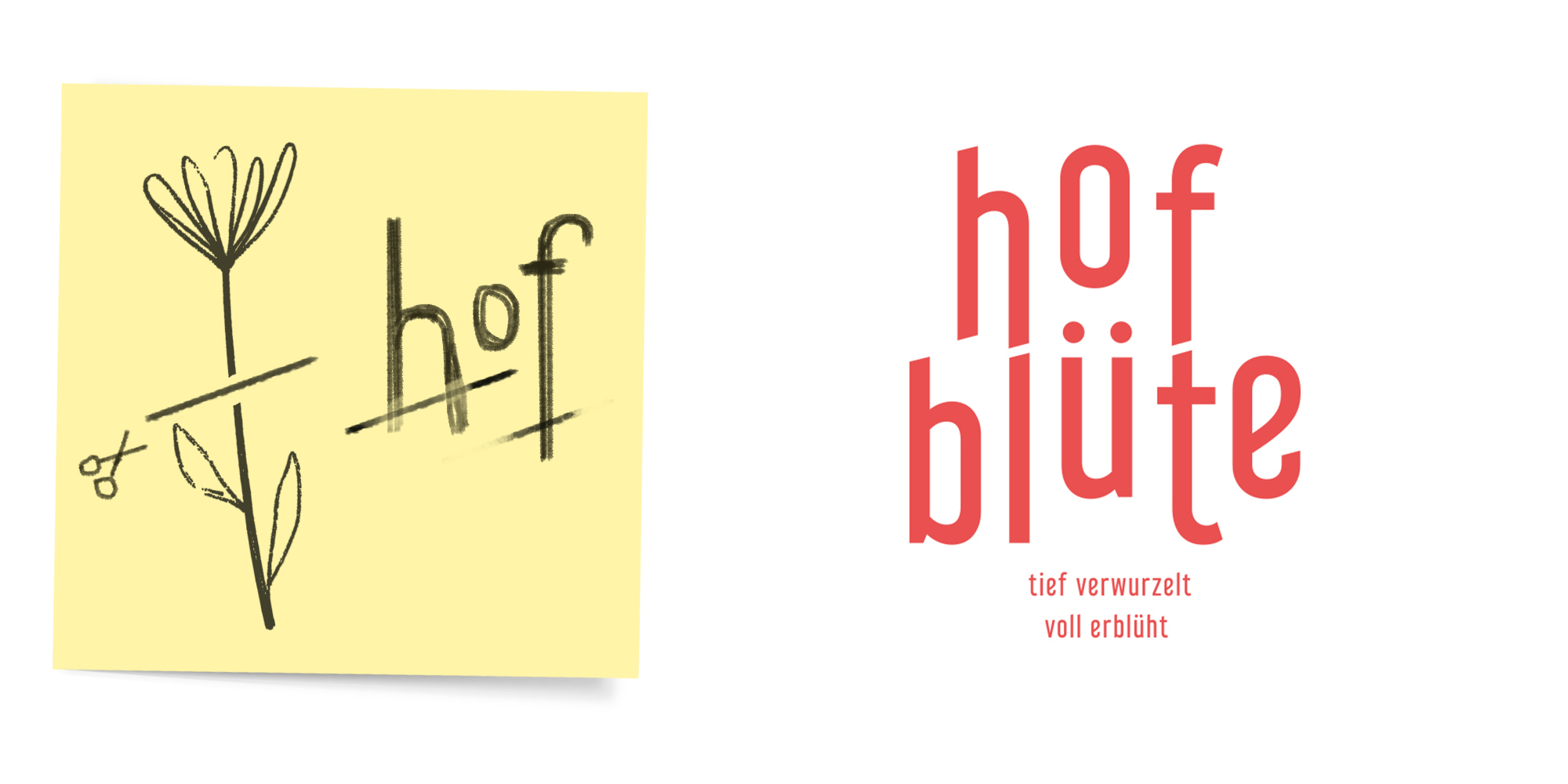 Ein Notizzettel mit einer Ideenskizze zur Entwicklung des Hofblüte-Logos.